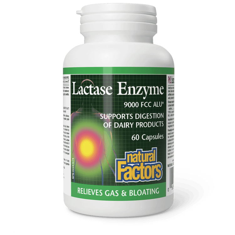 Natural Factors Lactase Enzyme 60 Capsules