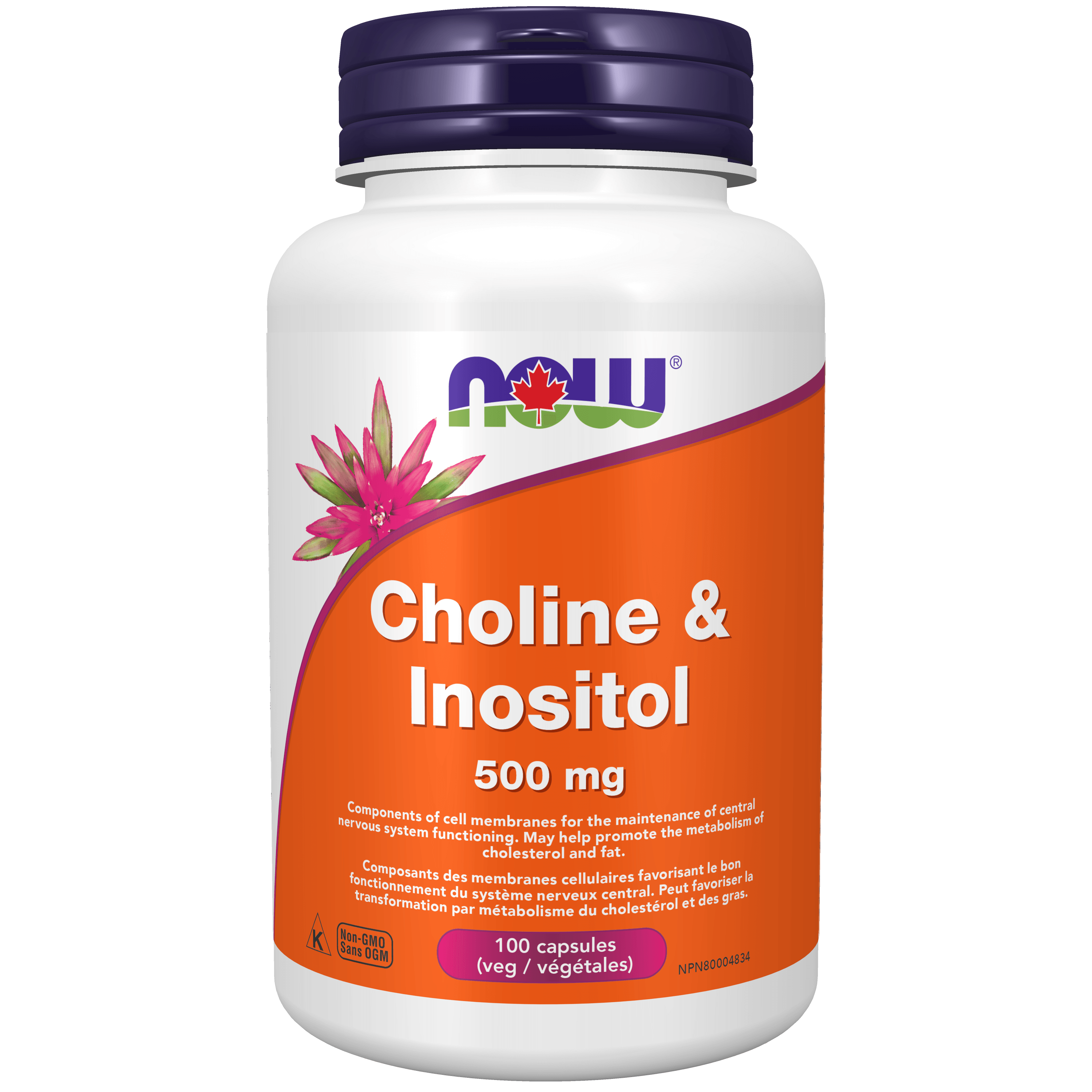 NOW Choline and Inositol 500mg 100 Capsules