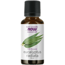 NOW Eucalyptus Radiata Oil (Eucalyptus radiata)30mL - Five Natural