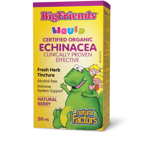 Natural Factors Echinacea Alcohol-Free Fresh Herb Tincture for Kids Big Friends 50 mL