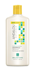 Andalou Naturals Shampoo Sunflower & Citrus Shine 340mL - Five Natural