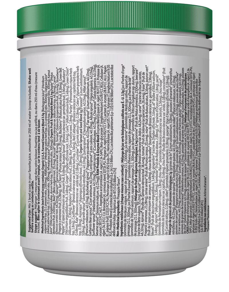 Garden Of Life Raw Organic Perfect Food Original 207g - Five Natural