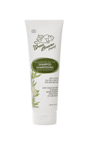 Green Beaver Shampoo Invigorating Tea Tree 240mL - Five Natural