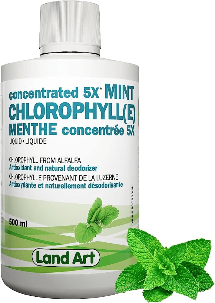 Land Art Chlorophyll(e) Concentrated 5X Mint 500ml - Five Natural