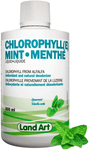 Land Art Chlorophyll Mint 500ml - Five Natural