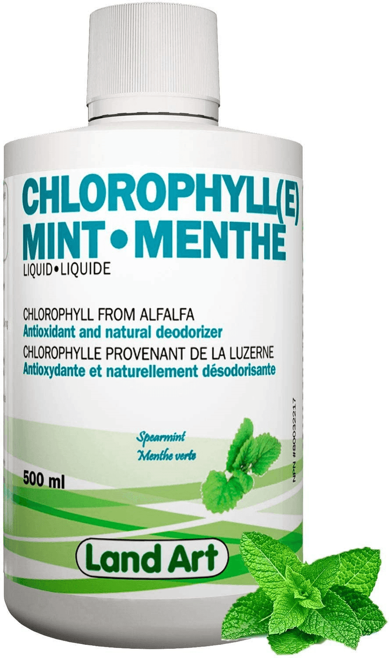 Land Art Chlorophyll Mint 500ml - Five Natural