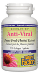 Natural Factors Anti-Viral Potent Fresh Herbal Extract ECHINAMIDE 120 Softgels - Five Natural