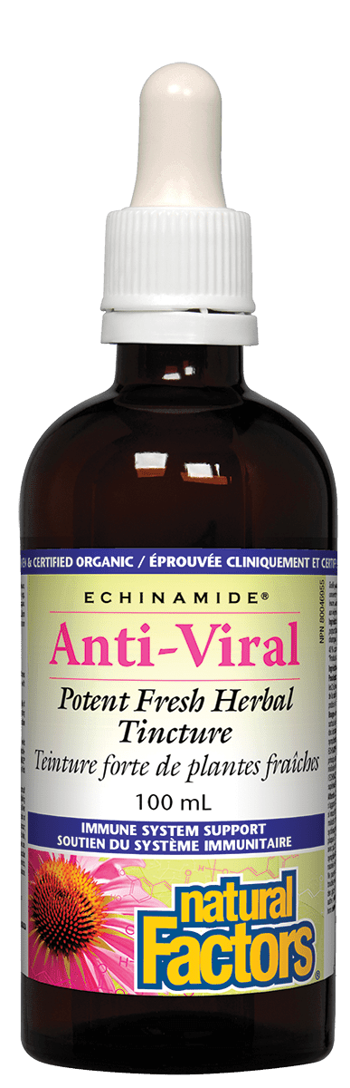 Natural Factors Anti-Viral Potent Fresh Herbal Tincture ECHINAMIDE 100mL - Five Natural