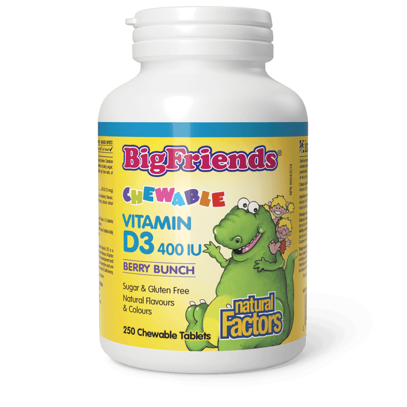 Natural Factors Chewable Vitamin D3 400 IU Berry Bunch Big Friends 250 Chewables - Five Natural