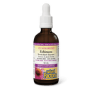 Natural Factors Echinacea Alcohol-Free Fresh Herb Tincture Natural Berry ECHINAMIDE 50mL - Five Natural