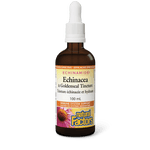 Natural Factors Echinacea & Goldenseal Tincture ECHINAMIDE 100mL - Five Natural