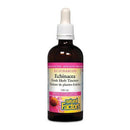 Natural Factors Echinacea Fresh Herb Tincture ECHINAMIDE 100mL - Five Natural