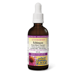 Natural Factors Echinacea Fresh Herb Tincture ECHINAMIDE 50mL - Five Natural