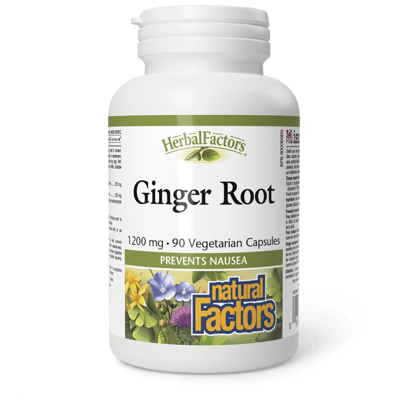 Natural Factors Ginger Root 1200 mg 90 Veg Capsules - Five Natural