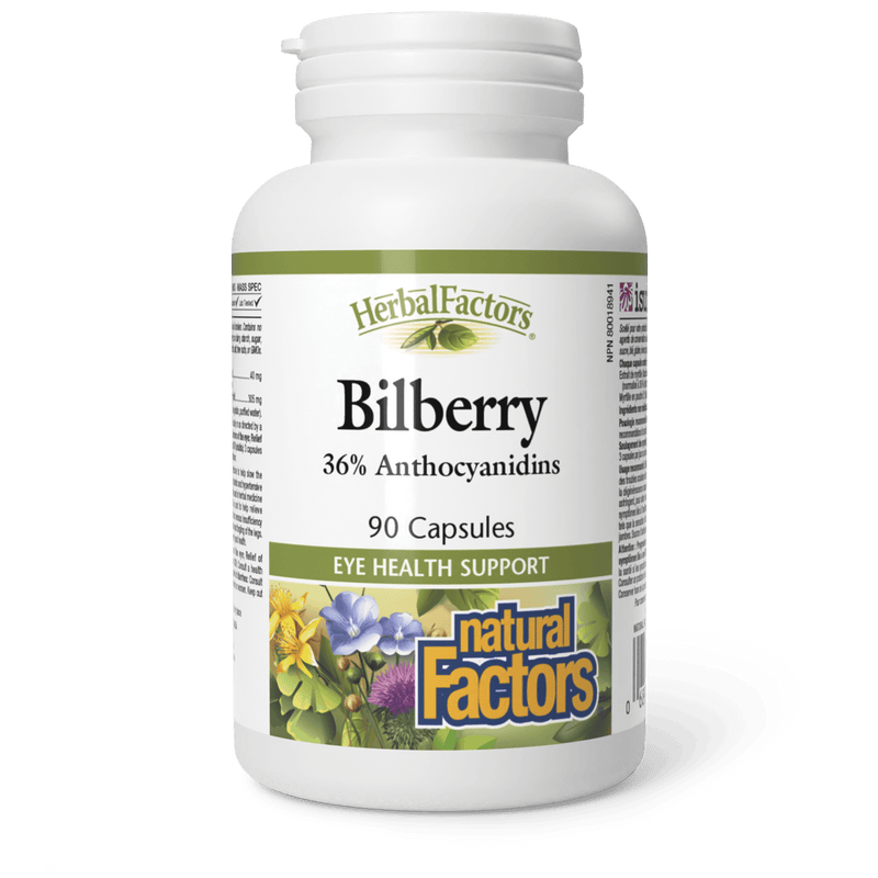 Natural Factors Herbal Factors Bilberry 90 Capsules - Five Natural