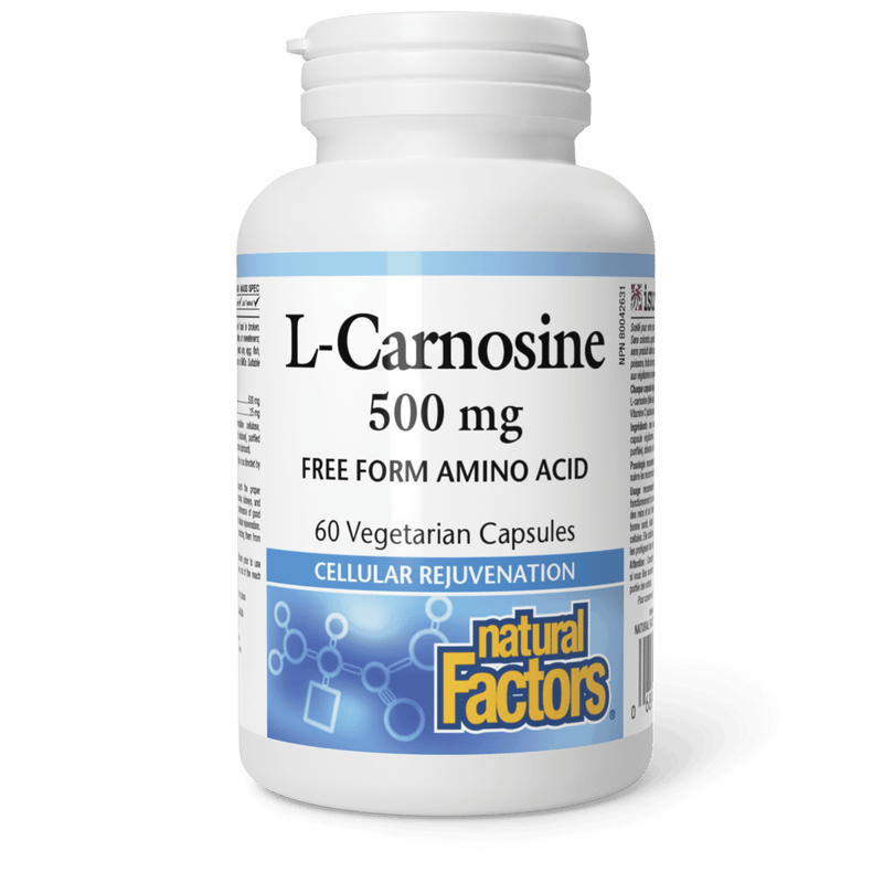 Natural Factors L-Carnosine 500 mg 60 Veg Capsules - Five Natural