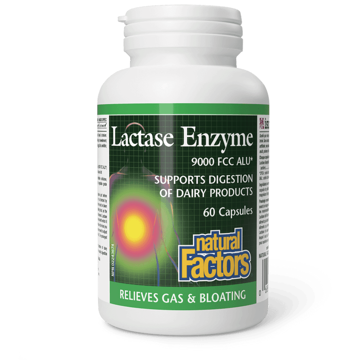 Natural Factors Lactase Enzyme 60 Capsules - Five Natural