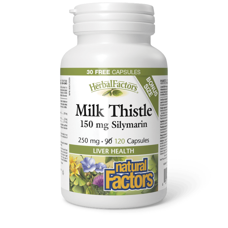 Natural Factors Milk Thistle 250 mg BONUS SIZE (90+30) Capsules - Five Natural