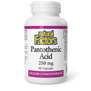 Natural Factors Pantothenic Acid 250 mg 90 Capsules - Five Natural