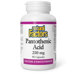 Natural Factors Pantothenic Acid 250 mg 90 Capsules - Five Natural