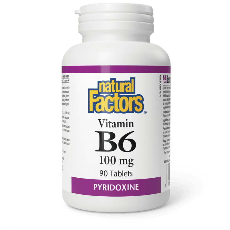 Natural Factors Vitamin B6 100 mg 90 Capsules - Five Natural