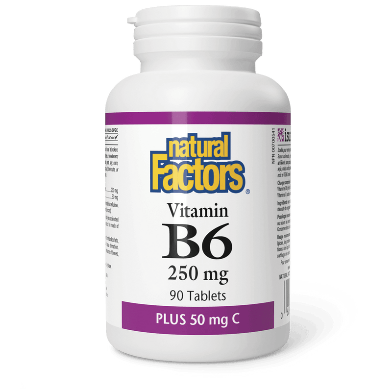 Natural Factors Vitamin B6 250 mg Plus 50 mg C 90 Tablets - Five Natural