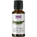 NOW Pine Needle Oil (Pinus sylvestris)30mL - Five Natural