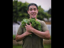 Garden Of Life Raw Organic Perfect Food Original 207g