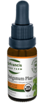St. Francis Oreganum Plus® 1:3 15mL - Five Natural