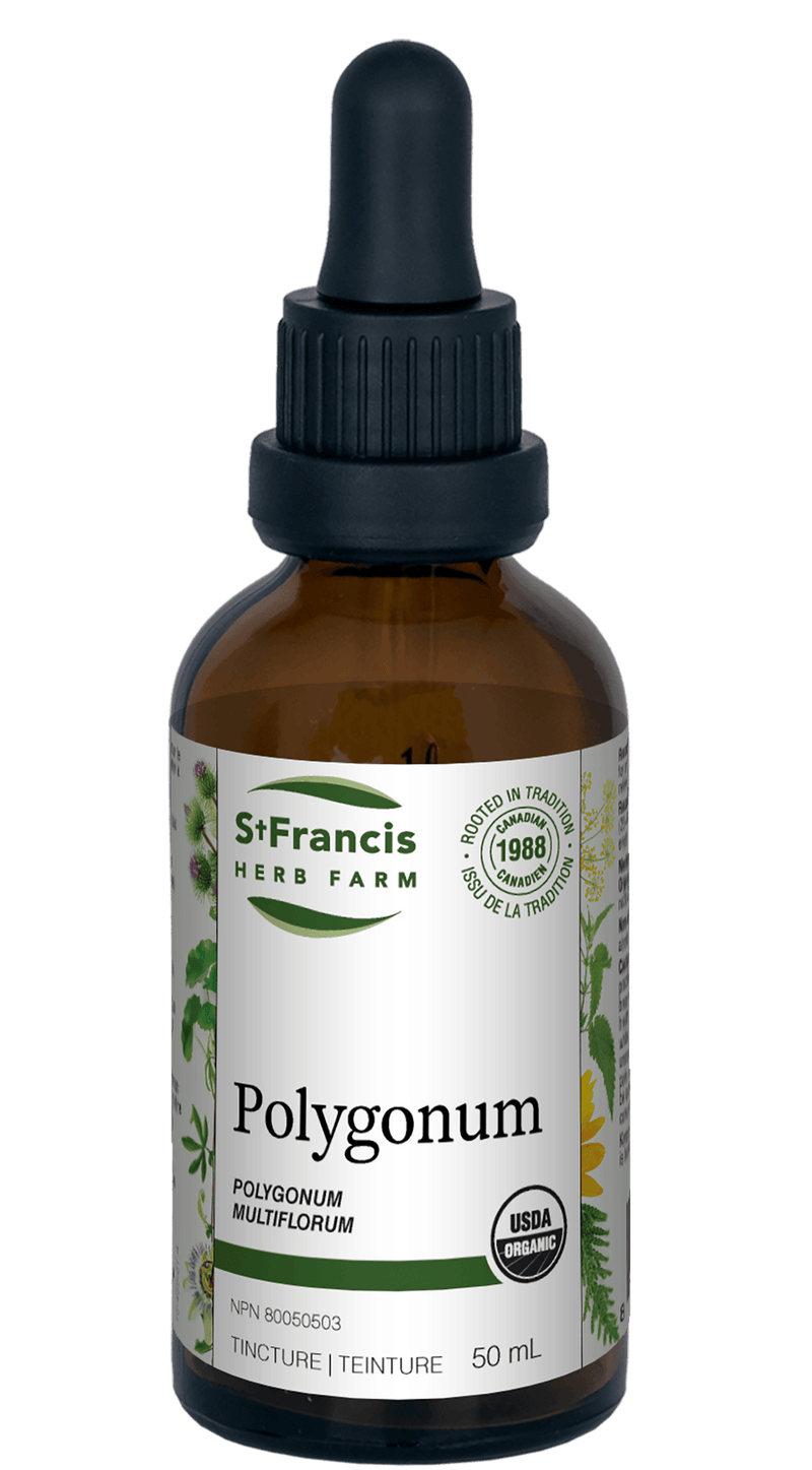 St. Francis Polygonum 50mL - Five Natural