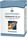 Gammadyn Zn-Cu 30 amps - Five Natural